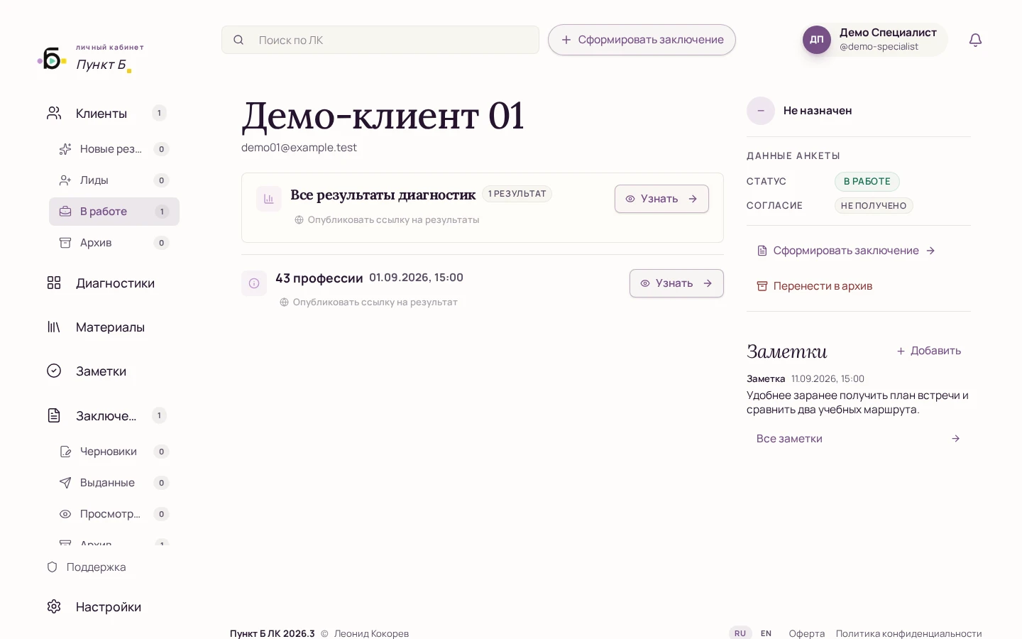 Карточка демо-клиента: результаты, заключение и заметки